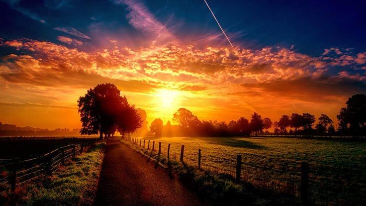 vrindhadigitalmarketer