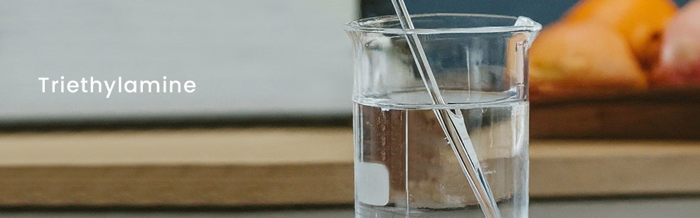 Triethylamine Prices: Market Trends, Demand Drivers and Global Outlook