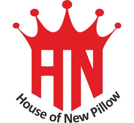 Boost Your Energy Anytime with HNPillow Caffeine Pouches