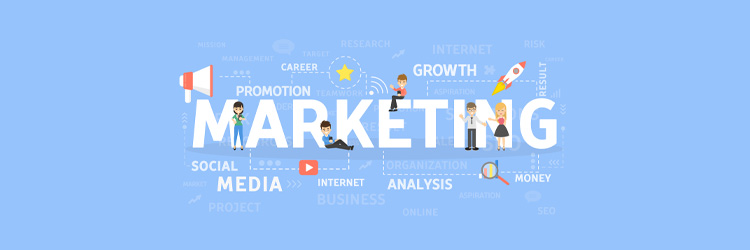 Top Sales CRM for Small Business & Leading SEO Agency in India – Matebiz