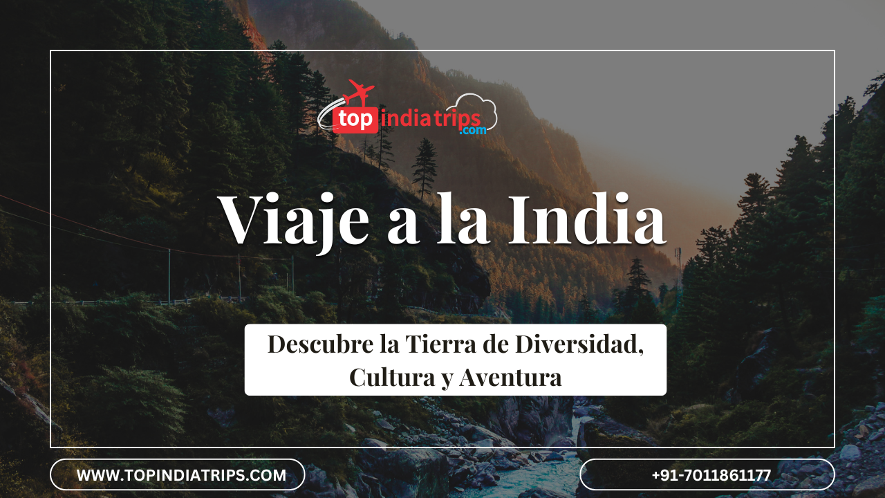 Viaje a la India: Descubre los Mejores Tours y Experiencias