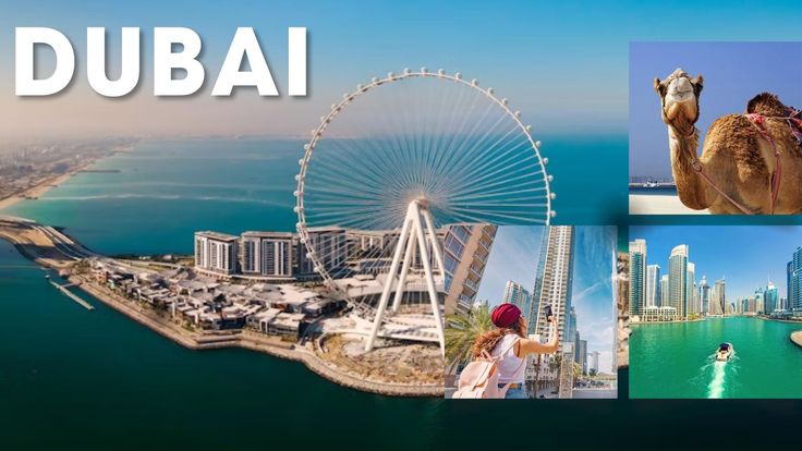 SEGV Tours – Where Every Journey Becomes a Lifetime Memory