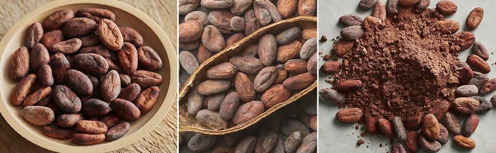 Cocoa Prices: Market Insights, Key Drivers and Global Outlook