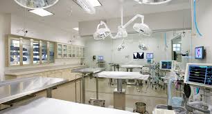 Best Veterinary Diagnostic & Therapeutic Tools