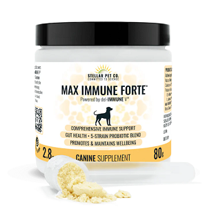 Enhance Your Dog’s Wellness with an Immune Supplement for Dogs