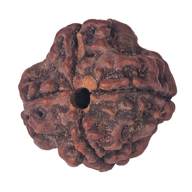 How the Benefits of 9 Mukhi Rudraksha Can Transform Your Career and Personal Growth