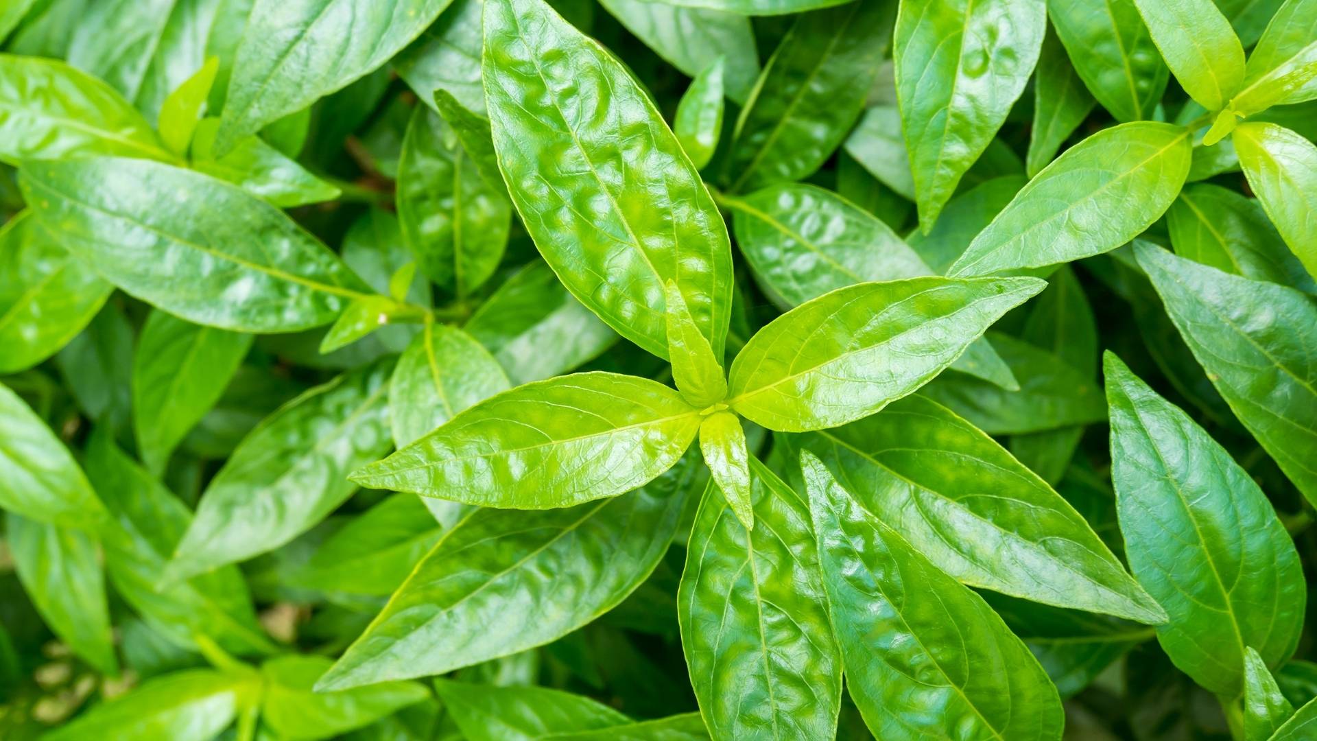 10 Effective Tips to Beat the Common Cold: How to Get Rid of Cold Fast