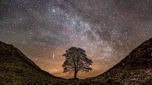 Exploring the Night Sky: Essential Astrophotography Equipment and Different Types of Constellations