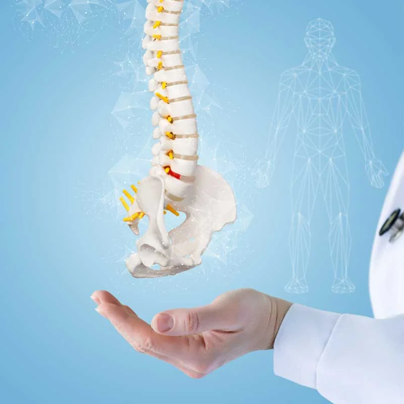 Joint Replacement Surgery with Precision and Care