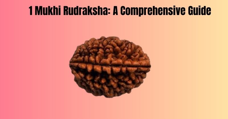 1 Mukhi Rudraksha: A Comprehensive Guide