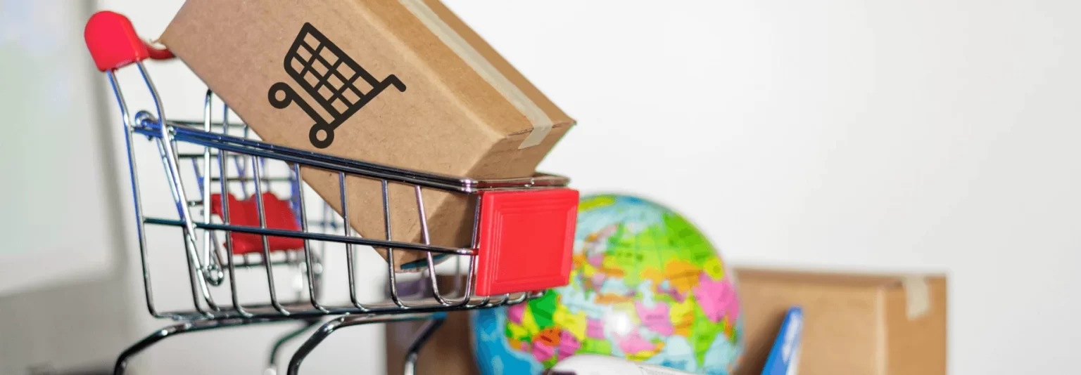 A brief insight into the future of the e-commerce industry in 2025